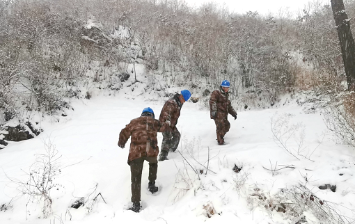 東北出現(xiàn)暴雪低溫 全力保障百姓用電