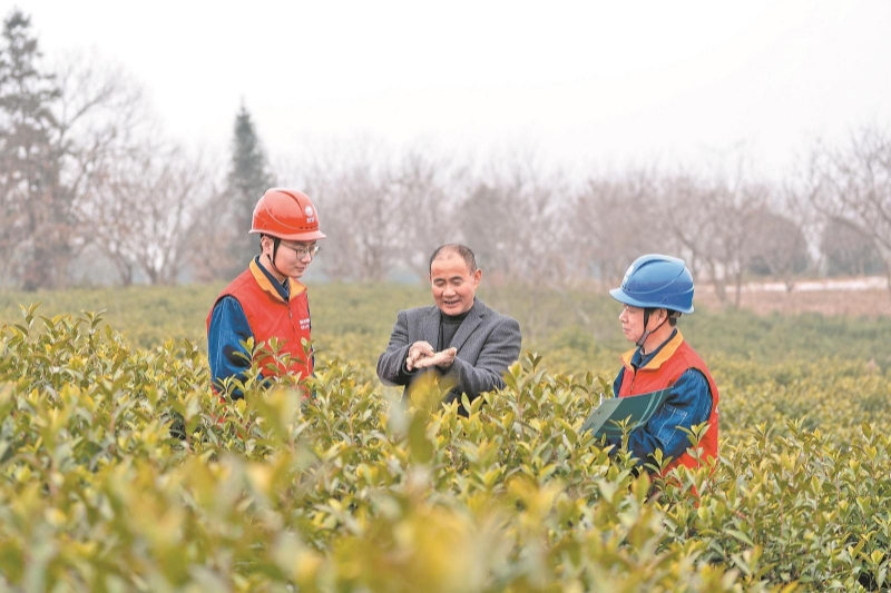 兩會(huì)新聲｜代表委員熱議電力賦能鄉(xiāng)村全面振興